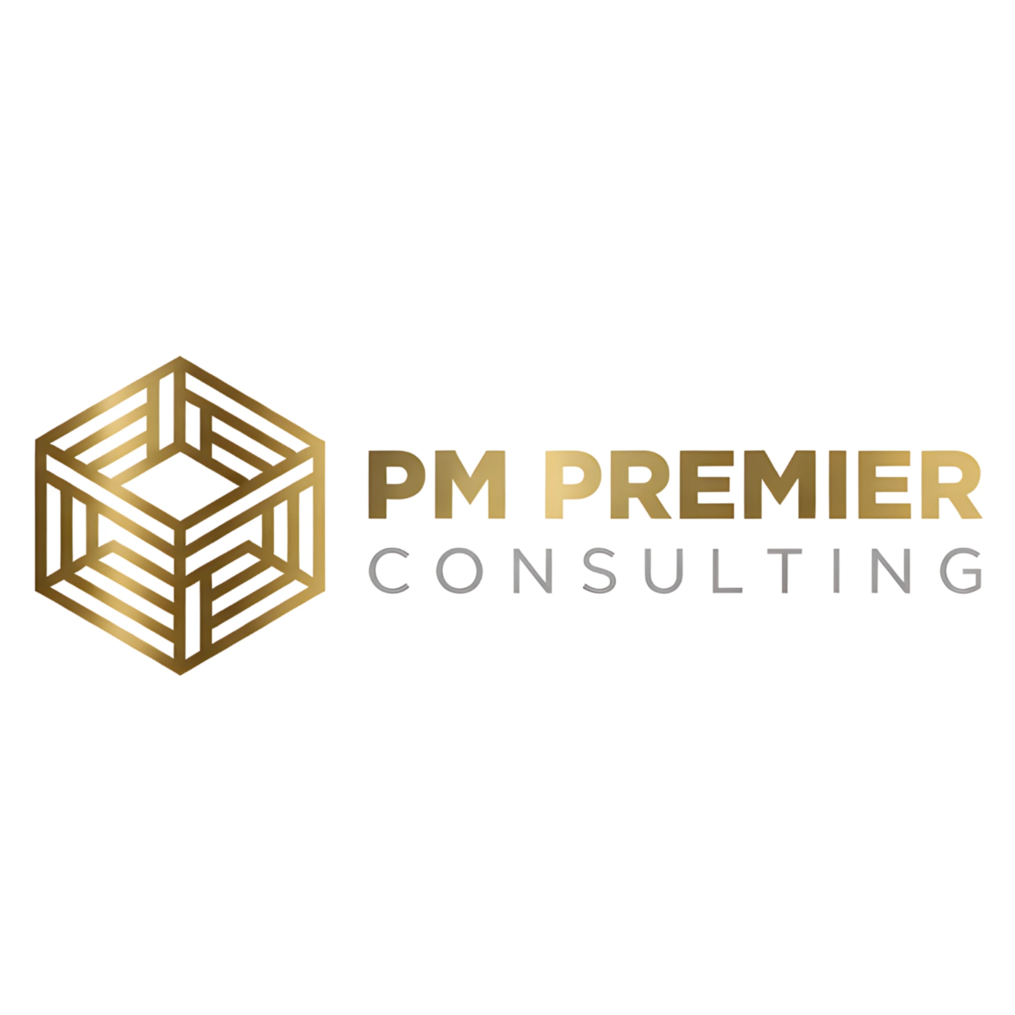PM Premier Consulting logo
